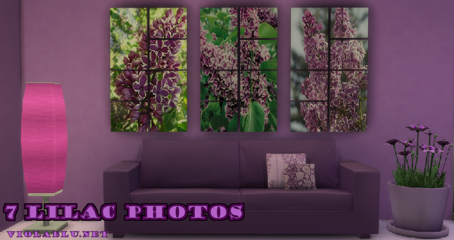 Lilac wall Photos for Sims 4