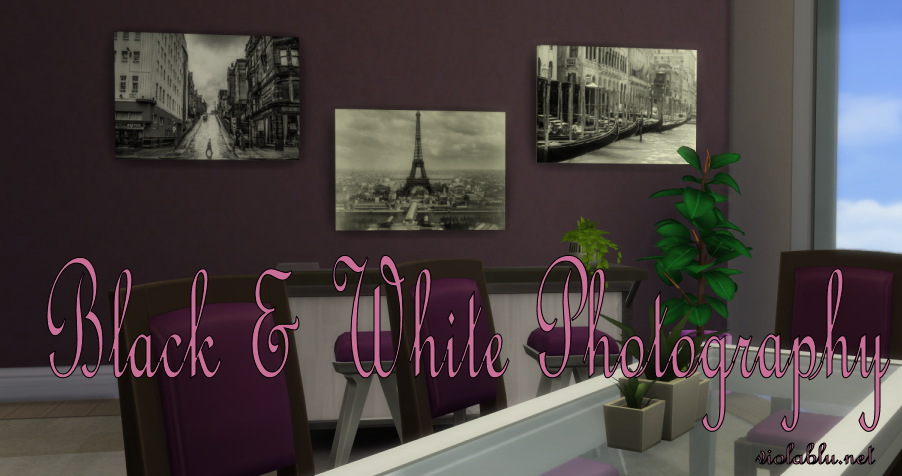 Black & White Photography for Sims 4
