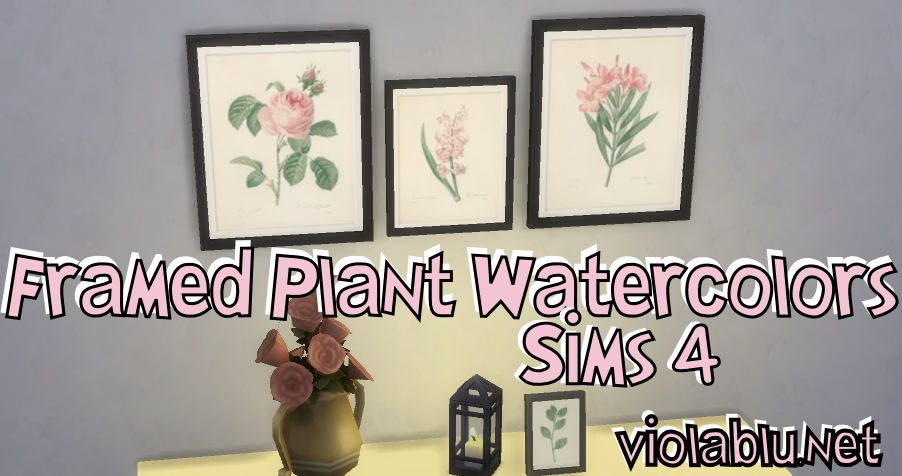 Viola’s Framed Plant Watercolors for Sims 4